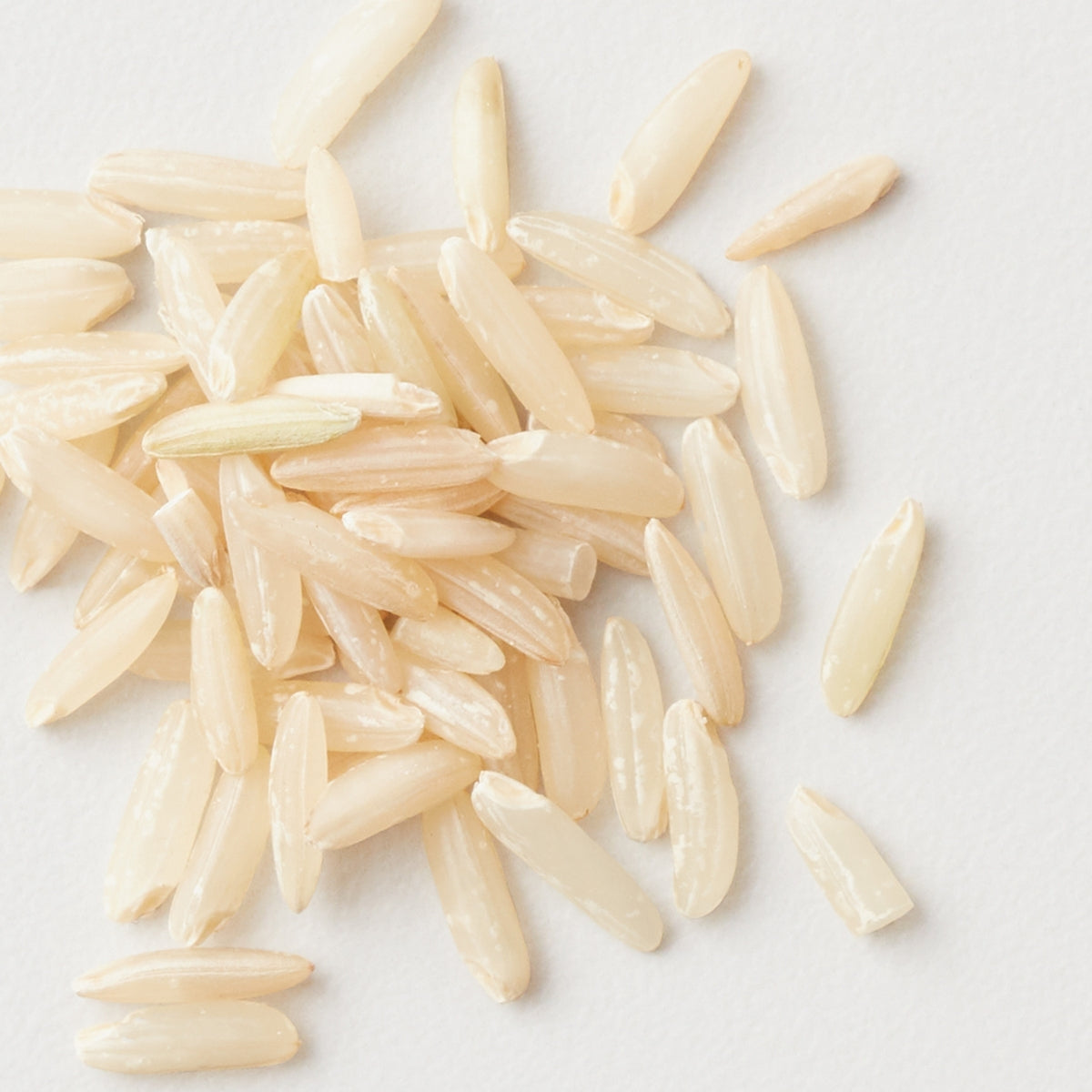 AG CARE Curl Fresh Curl Enhancing Shampoo