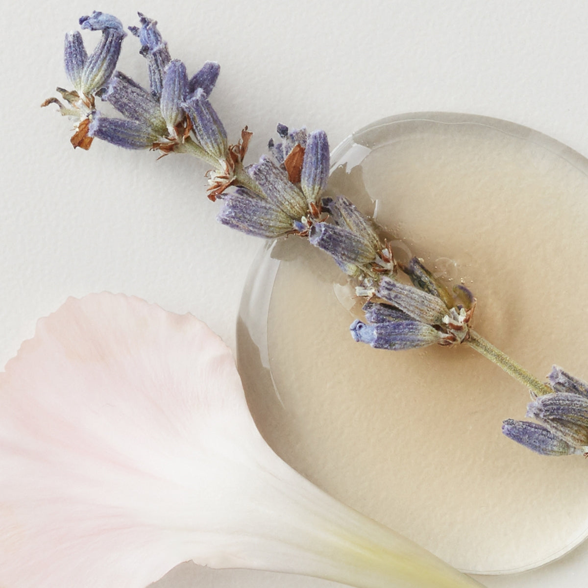 AG CARE Colour Savour Colour Protecting Conditioner