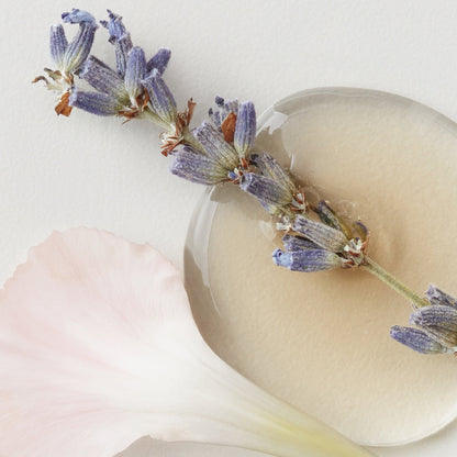 AG CARE Colour Savour Colour Protecting Shampoo