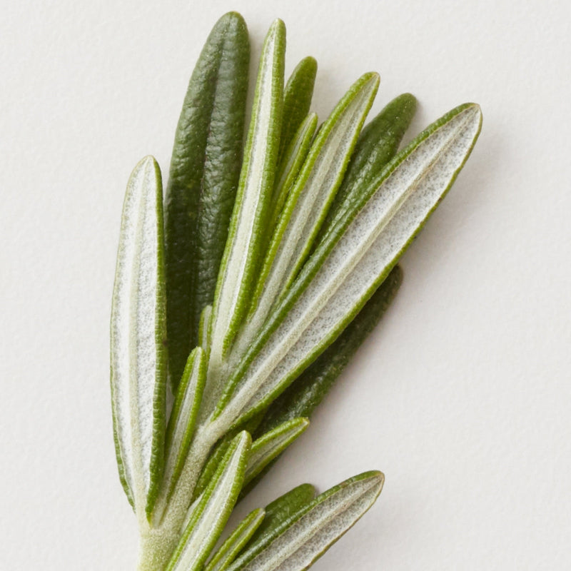 AG CARE Stucco Matte Clay Paste