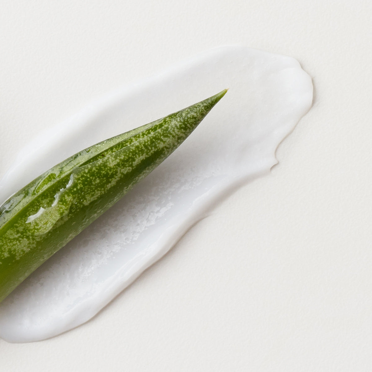 AG CARE Fast Food Leave On Conditioner - AG CARE | Urban Texture Hair Studio, Calgary AB