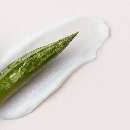 AG CARE Fast Food Leave On Conditioner - AG CARE | Urban Texture Hair Studio, Calgary AB